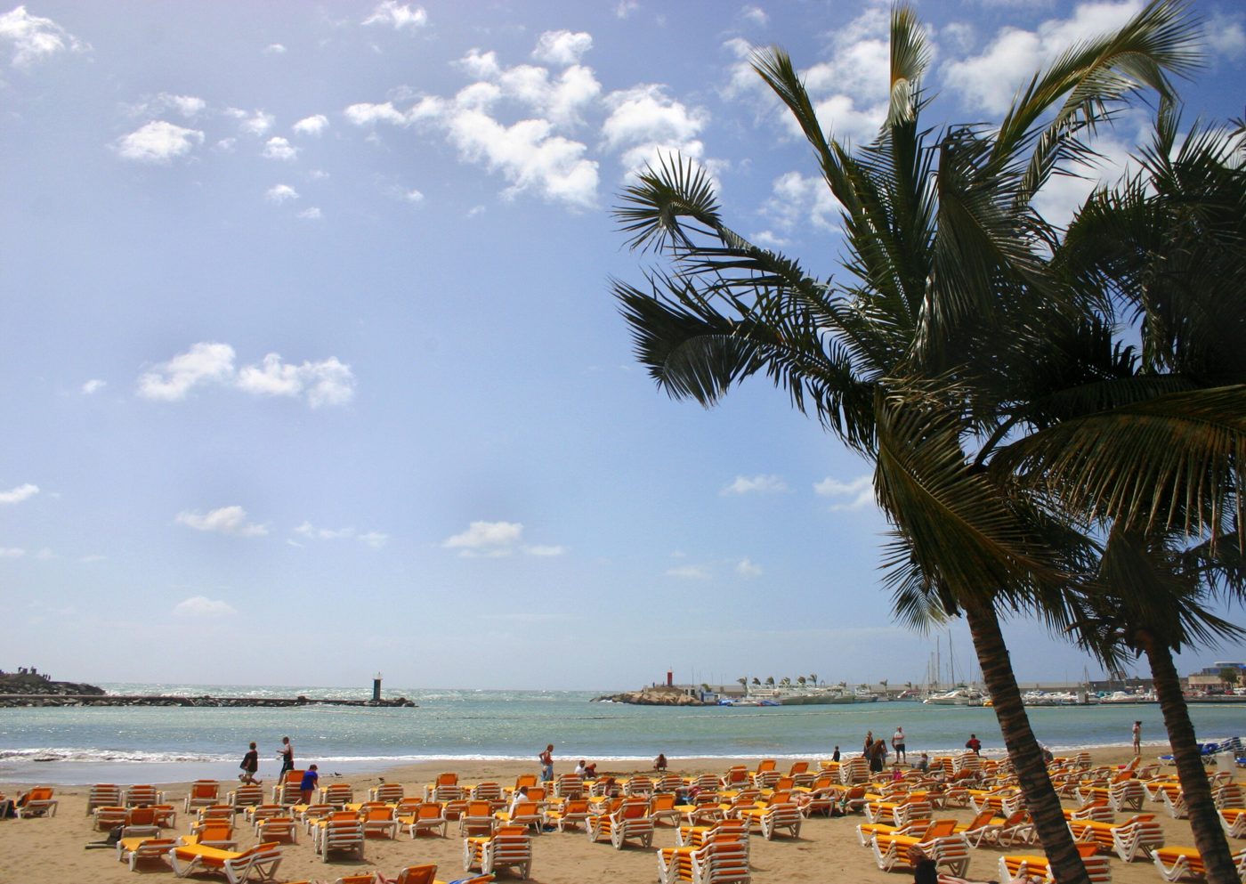 Playa de Puerto Rico con palmeras y tumbonas